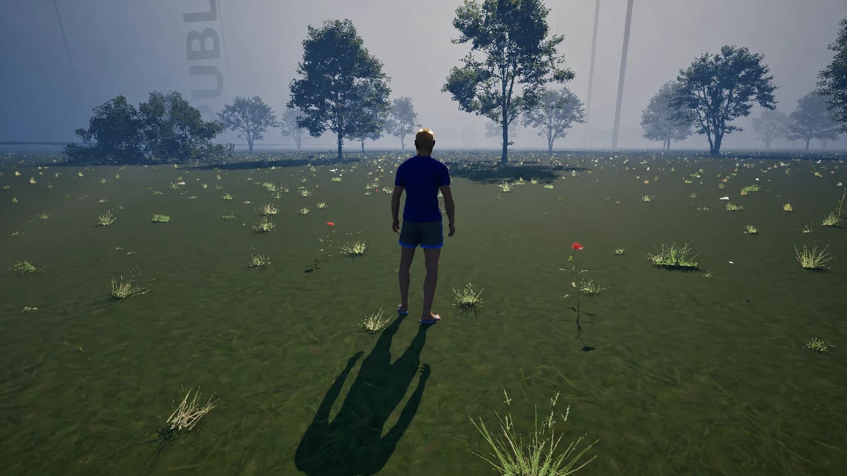 Meadows landscape in Zielinski Metaverse